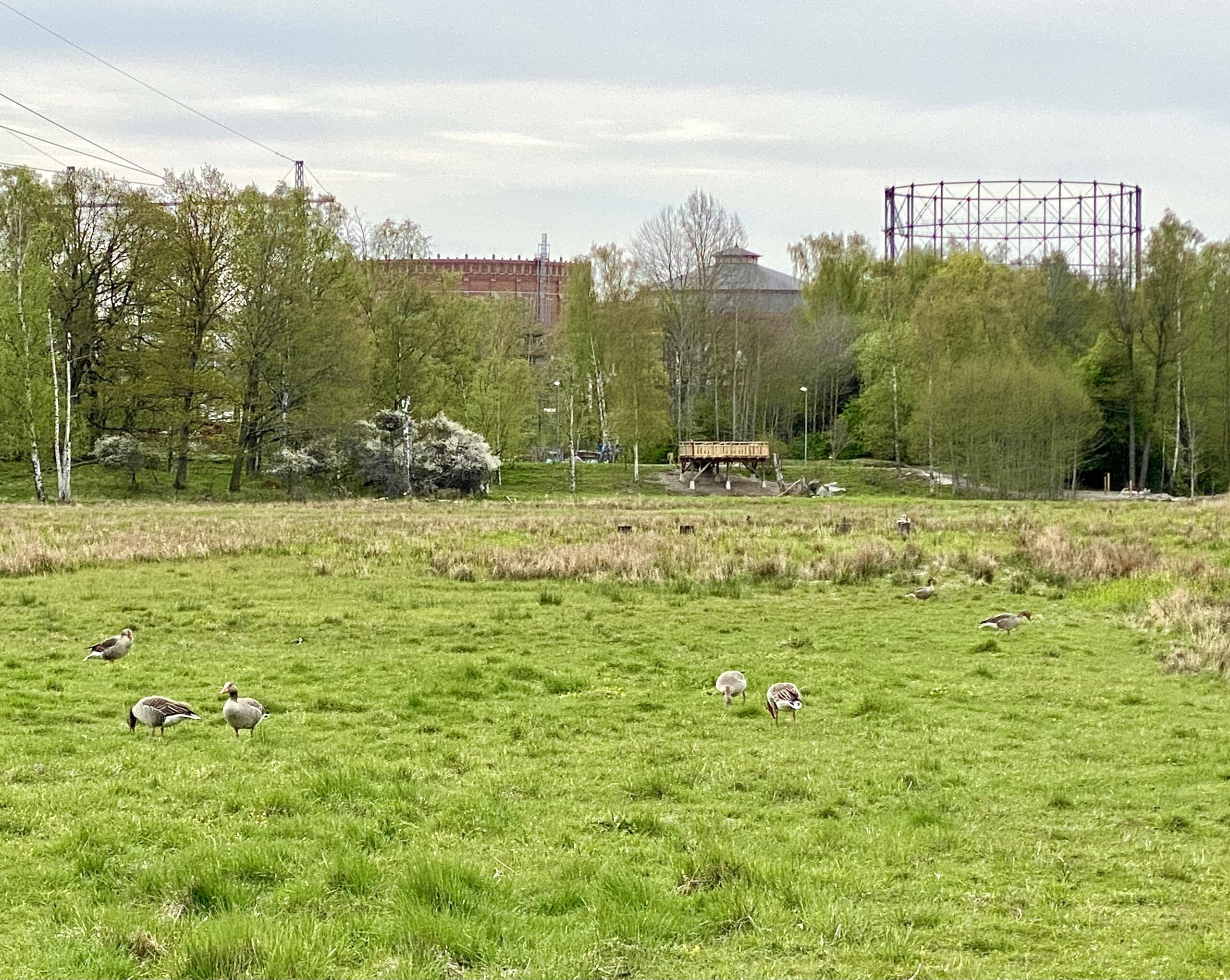 Invigning av Lillsjöns fiskvåtmark i Nationalstadsparken