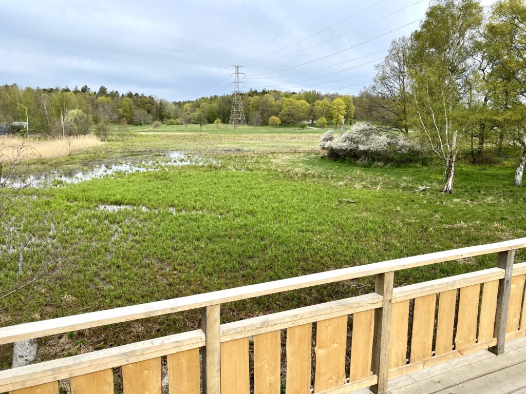 Invigning av Lillsjöns fiskvåtmark i Nationalstadsparken